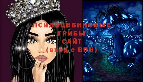 ГАЛЛЮЦИНОГЕННЫЕ ГРИБЫ Абдулино
