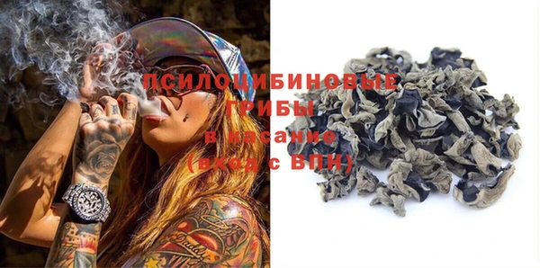 ГАЛЛЮЦИНОГЕННЫЕ ГРИБЫ Абдулино