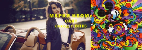прущие грибы Абинск
