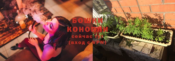 ГАЛЛЮЦИНОГЕННЫЕ ГРИБЫ Абдулино