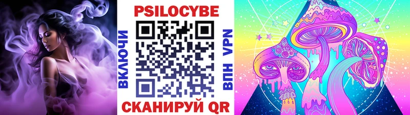 ссылка на мегу ССЫЛКА  Норильск  Галлюциногенные грибы Psilocybe  наркошоп 